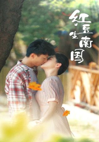 短剧红豆生南国海报