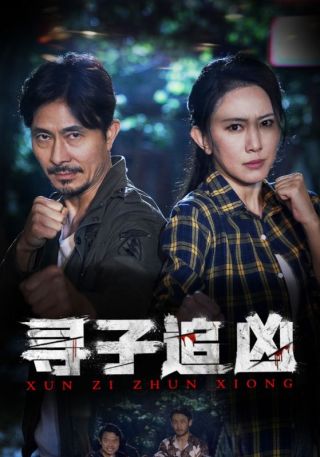 短剧寻子追凶海报