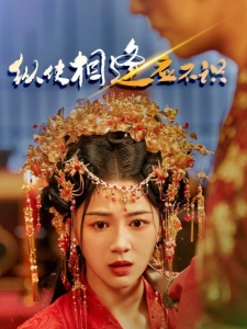 短剧纵使相逢应不识海报