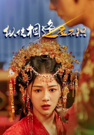 短剧纵使相逢应不识海报