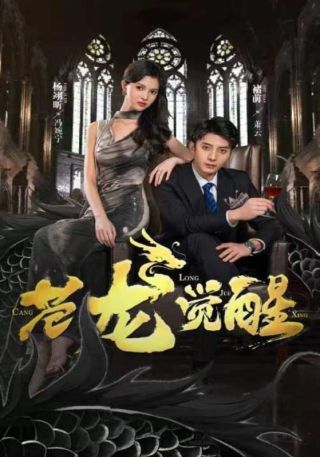 短剧苍龙觉醒海报