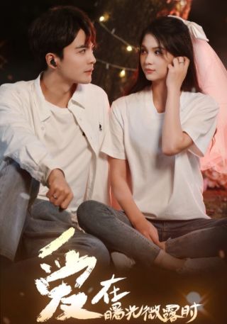 短剧爱在曙光微露时海报