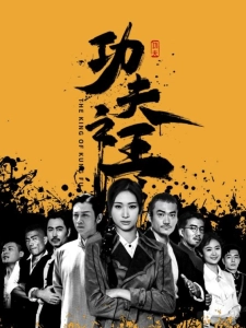 短剧功夫之王海报