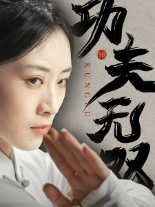 短剧功夫无双海报
