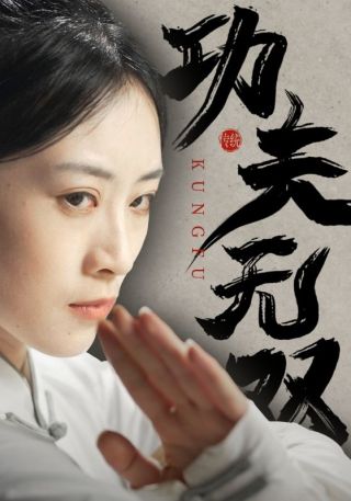 短剧功夫无双海报