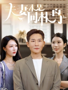 短剧夫妻本是同林鸟海报