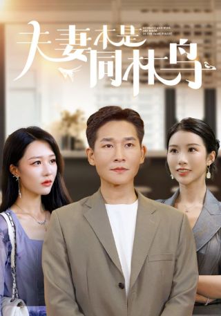 短剧夫妻本是同林鸟海报