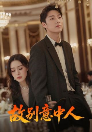 短剧故别意中人海报