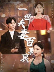 短剧一世夫妻百事哀海报