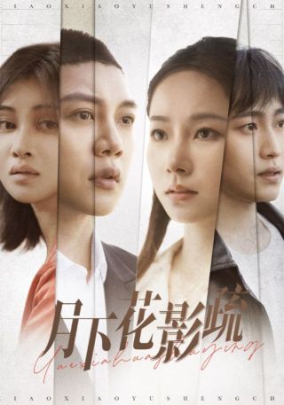 短剧月下花影疏海报