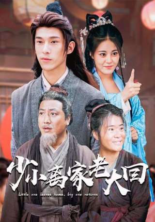 短剧少小离家老大回海报