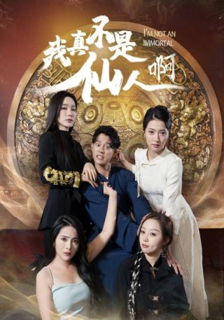 短剧我真不是仙人啊海报