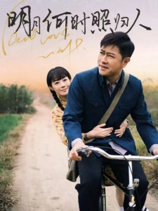 短剧明月何时照归人海报