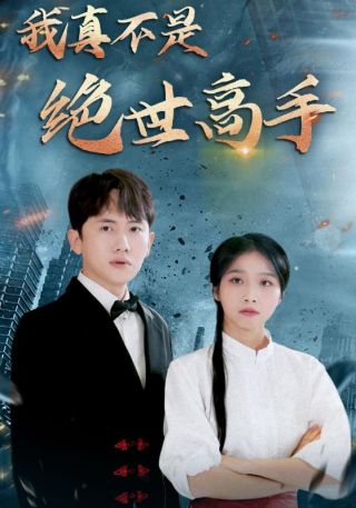 短剧我真不是绝世高手海报