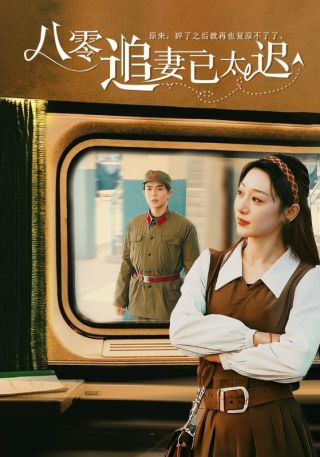 短剧八零追妻已太迟海报