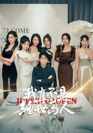 短剧我真不是绝世高人海报