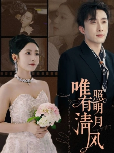 短剧唯有清风照明月海报