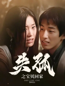 短剧失孤之宝贝回家海报