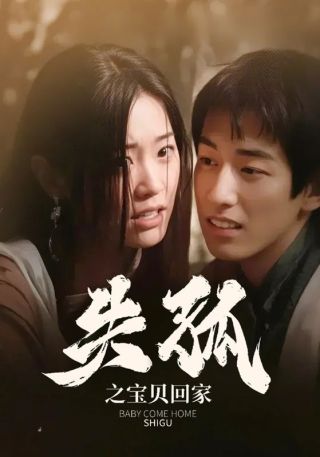 短剧失孤之宝贝回家海报