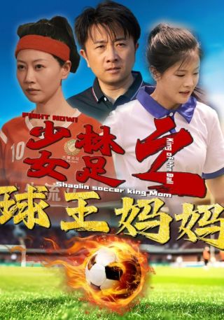 短剧少林女足之球王妈妈海报
