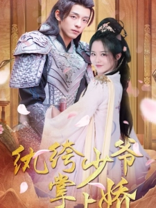 短剧纨绔少爷掌上娇海报