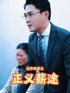 短剧过年回家之正义薪途海报