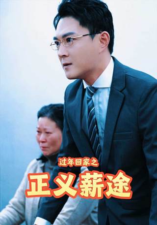 短剧过年回家之正义薪途海报