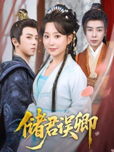 短剧储君误卿海报