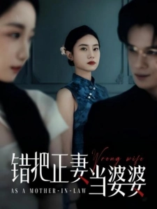 短剧错把正妻当婆婆海报