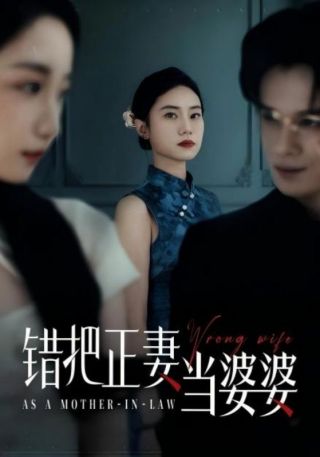 短剧错把正妻当婆婆海报