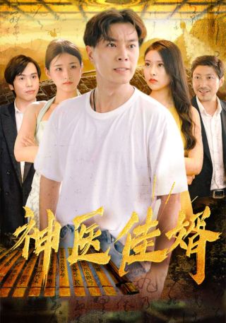 短剧神医佳婿海报
