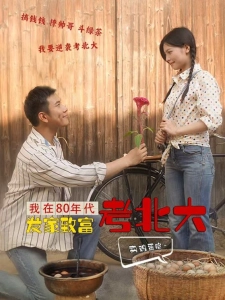 短剧我在80年代发家致富考北大海报