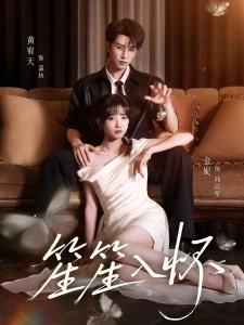 短剧笙笙入怀海报