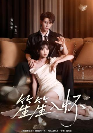 短剧笙笙入怀海报