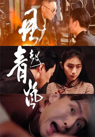 短剧风起青岚海报