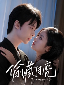 短剧偷藏月亮海报