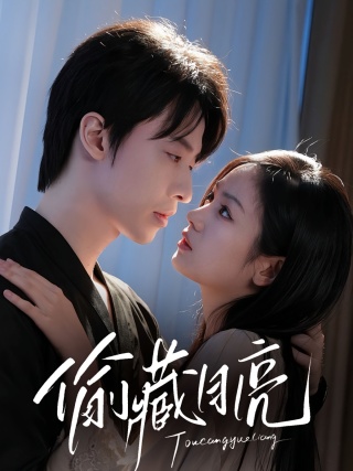 短剧偷藏月亮海报