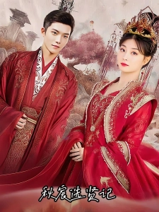 短剧秋宸选贤记海报