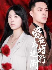 短剧爱在离婚进行时海报