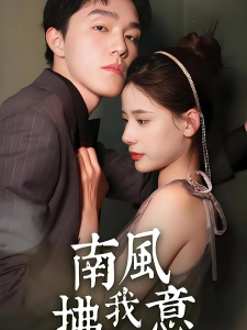 短剧南风拂我意海报