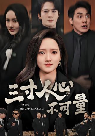 短剧三寸人心不可量海报