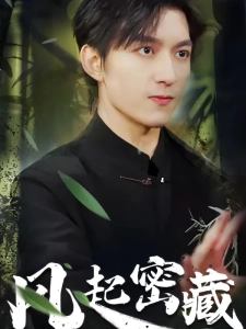 短剧风起密藏海报