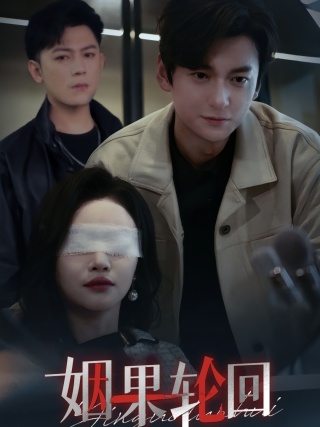 短剧姻果轮回海报