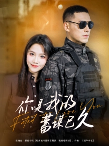 短剧你是我的蓄谋已久海报