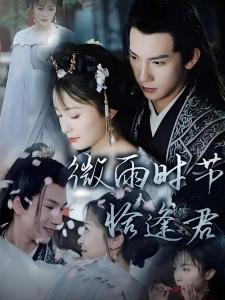 短剧微雨时节恰逢君海报