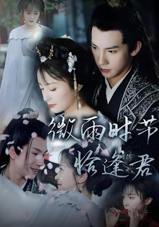 短剧微雨时节恰逢君海报