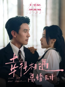 短剧幸得相遇离婚时海报