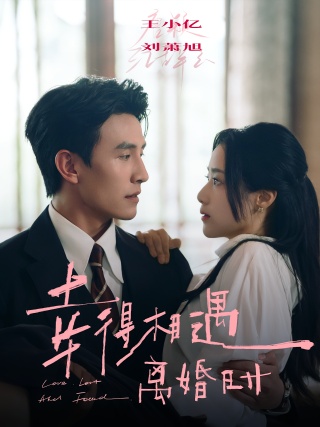 短剧幸得相遇离婚时海报