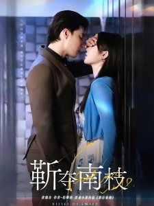 短剧靳夺南枝海报