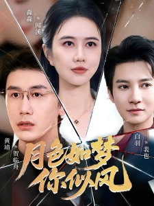 短剧月色如梦你似风海报